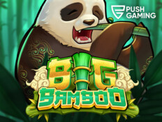 Bonus online casino no deposit. Bingo village casino.12